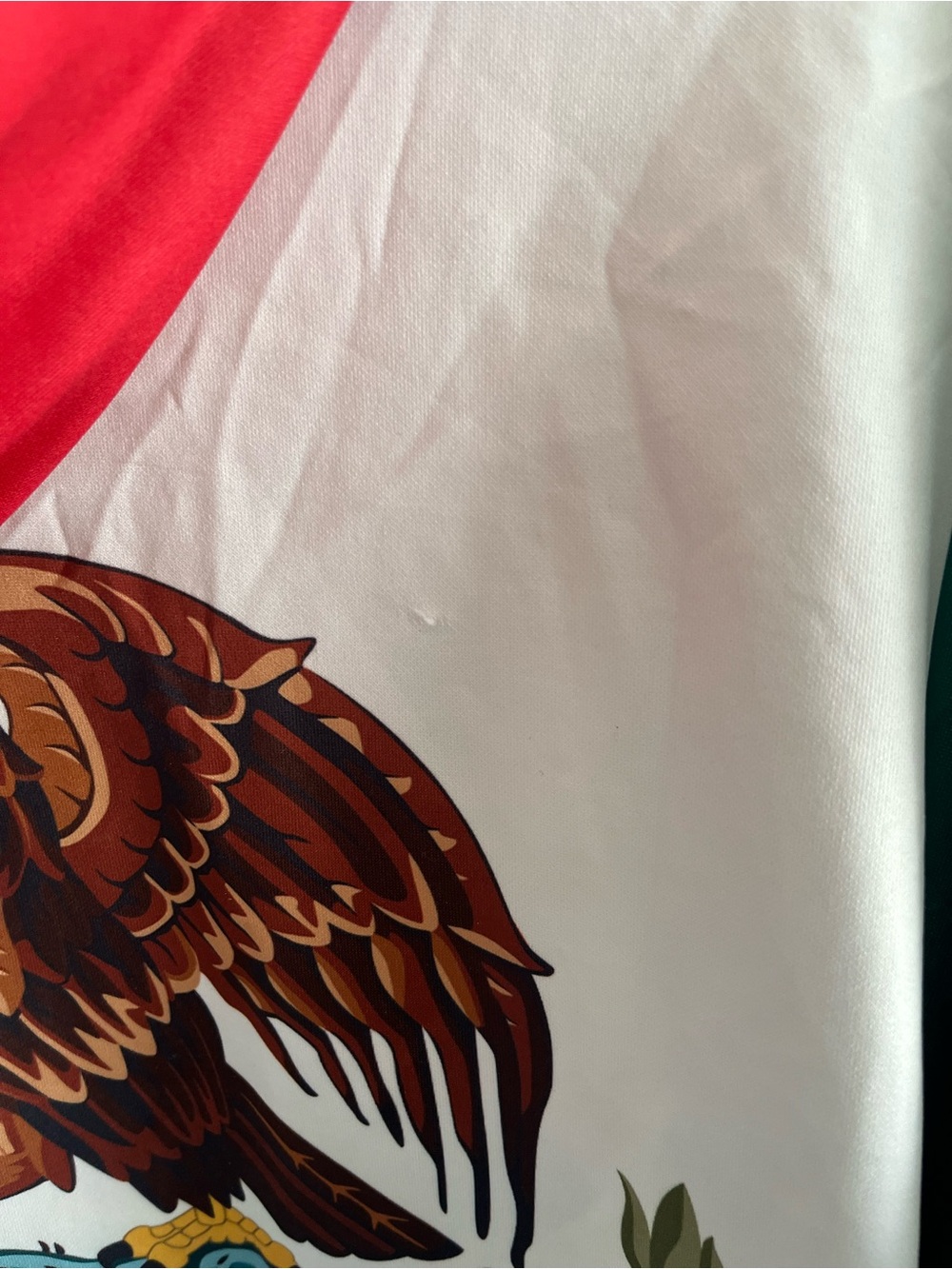 Mexico Flag Tricolor Pullover Hoodie - Green White Red - Picture 7 of 7